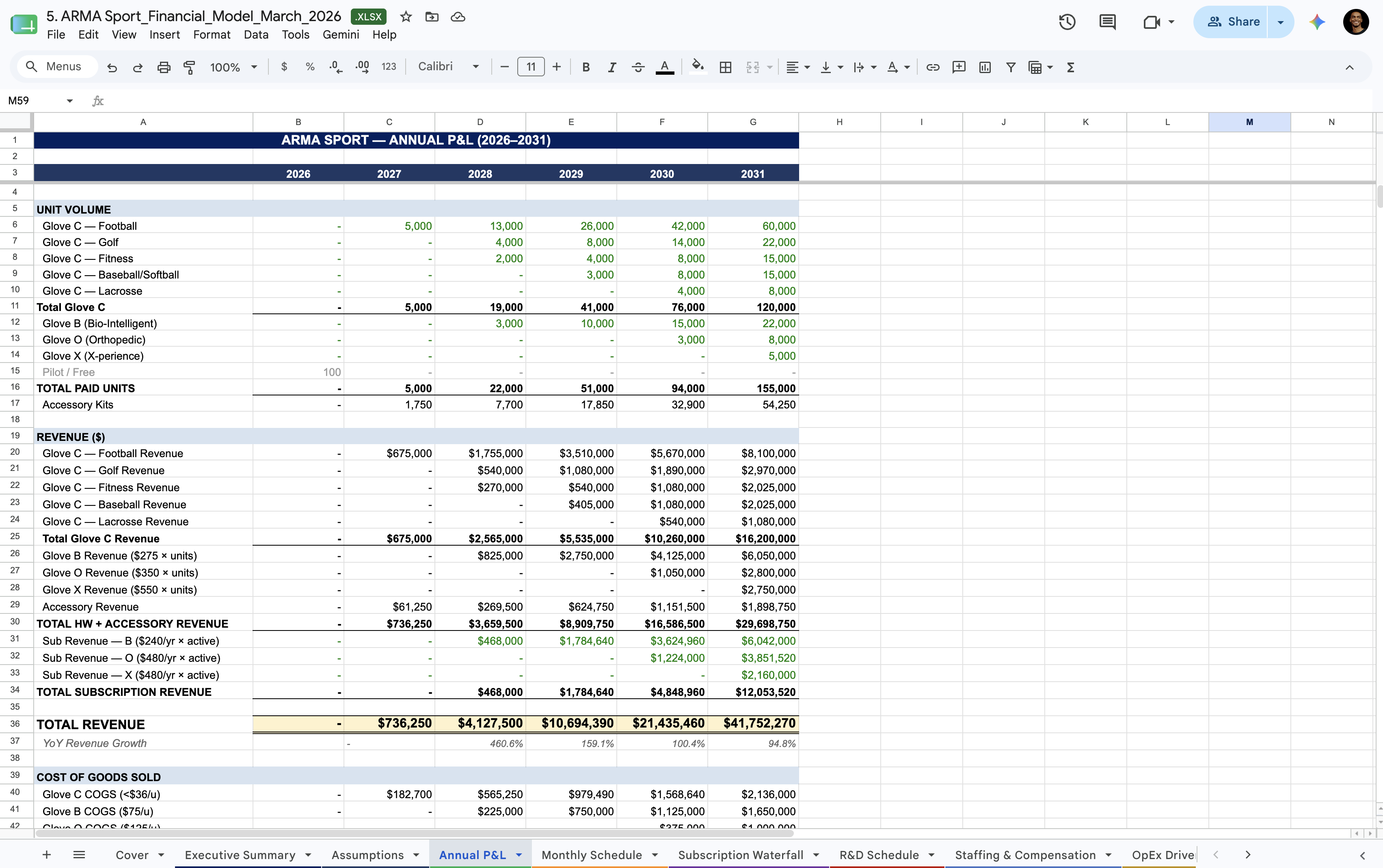 ARMA 5-year financial model — annual P&L with multi-tab workbook